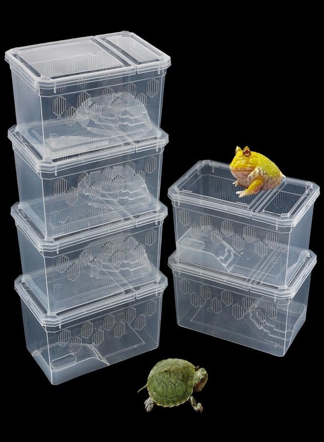 DQITJ 6 Pack Turtle Tank Breeding Box Horned Frog Plastic Portable Feeding Container for Small Reptile Amphibian Horned Frog Turtle Tortoise - Image 1